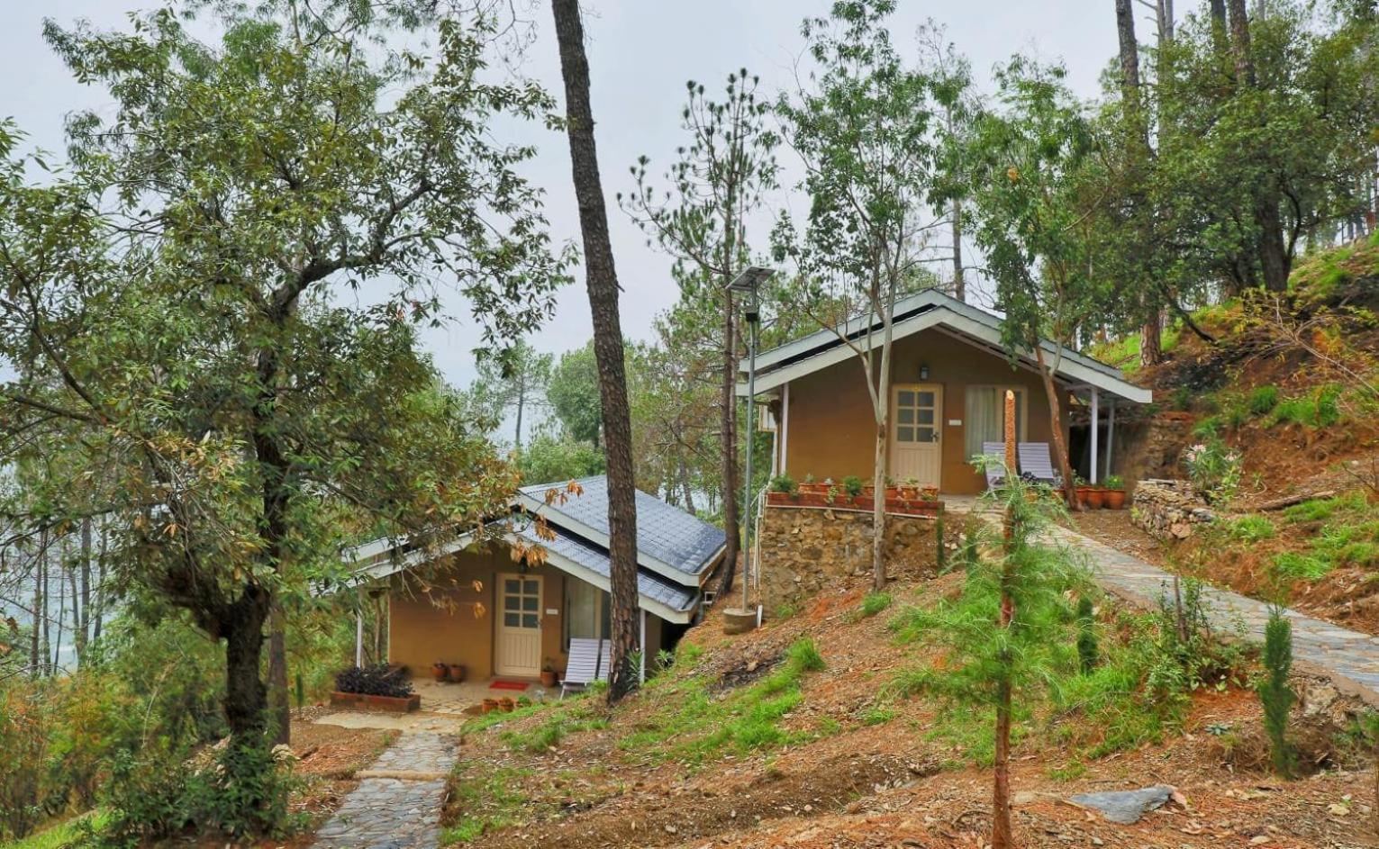 Rainbow Resorts Solan Rum bild