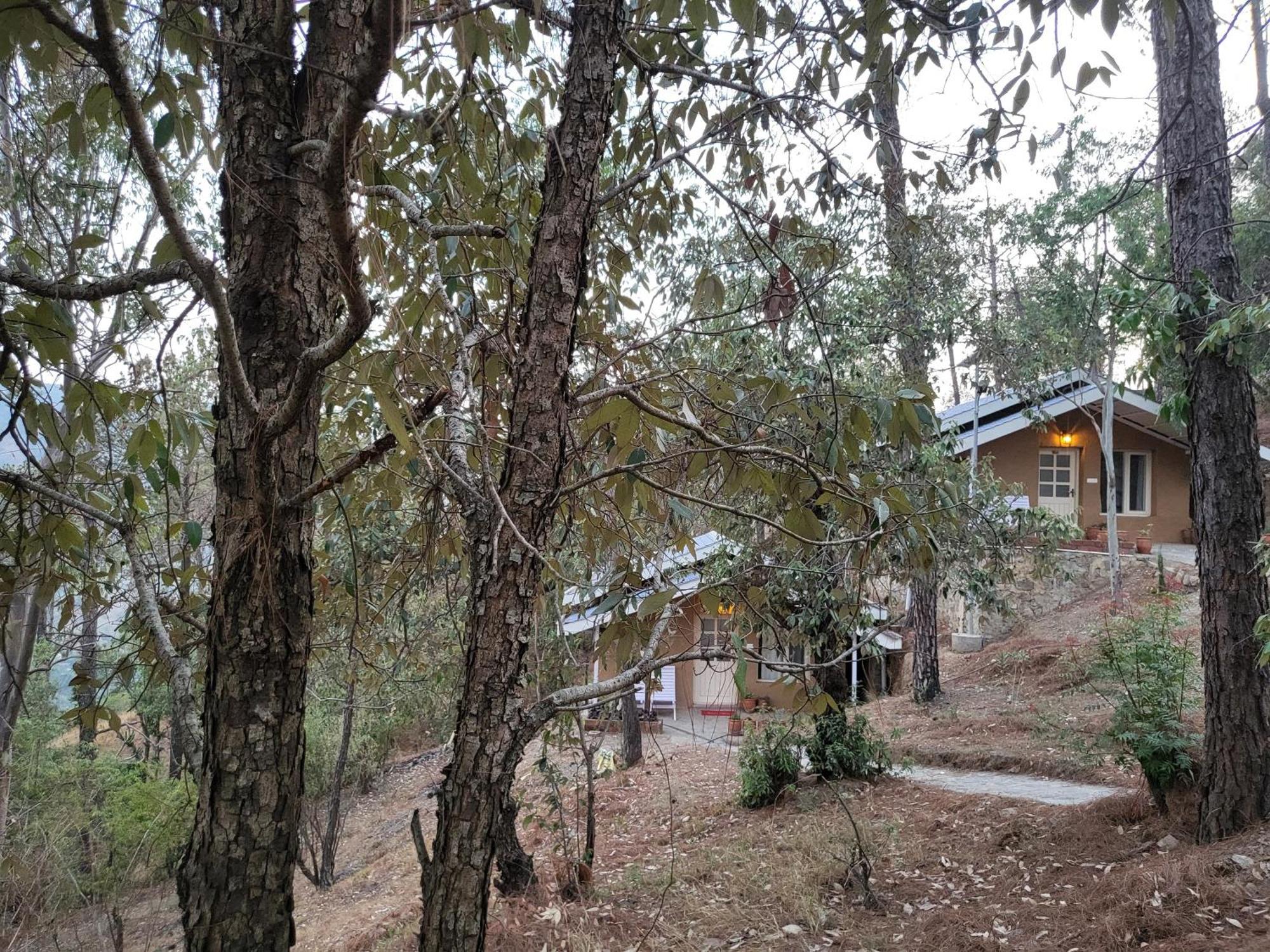 Rainbow Resorts Solan Rum bild